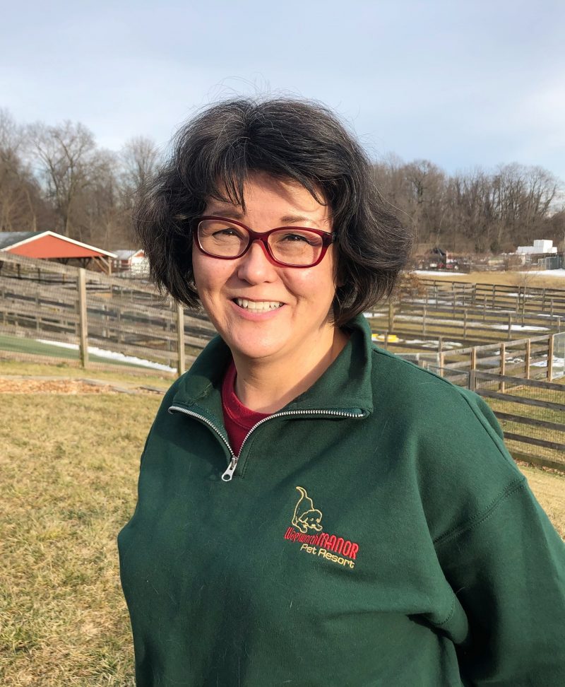 dog trainer bio wagsworth dog trainer