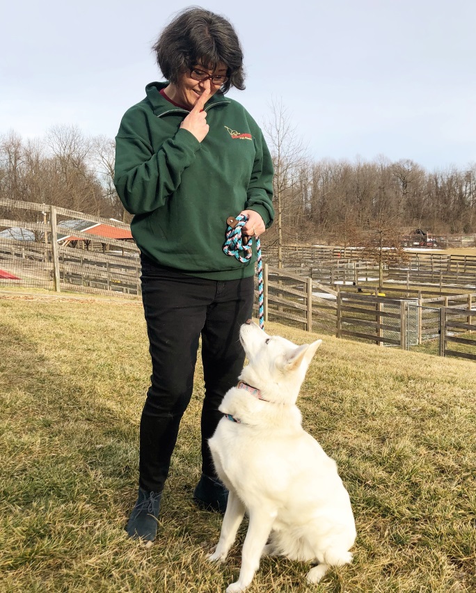 dog training 1A dog trainer with dog
